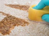 پاک كردن فرش نجس