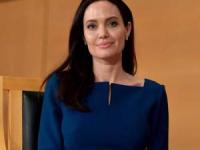 دعوای آنجلینا جولی و بردپیت