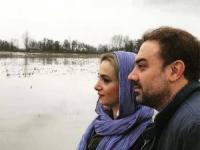 برزو ارجمند