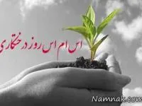 اس ام اس روز درختکاری