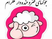 استاتوس های خنده دار