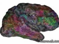 ذخیره لغات در ذهنتان