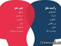 مغز