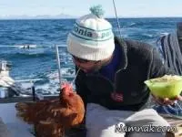 جهانگرد