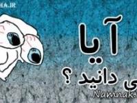 دانستنی های جالب