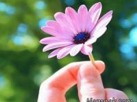 جملات کوتاه