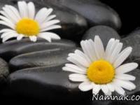 جملات کوتاه