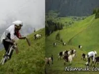 جایزه نوبل