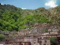 نگل کردستان