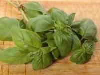 روش کاشت و پرورش ریحان