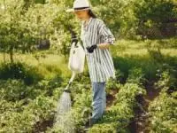 کاشت باغچه در پاییز