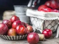  فریز کردن آلو