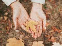 استفاده از برگ پاییزی