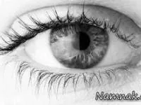 سلامت چشم