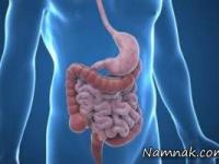 سیستم گوارشی