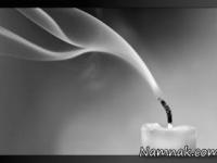 دانشمندان جهان