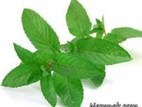 خواب آلودگی