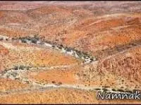 انسان های اولیه