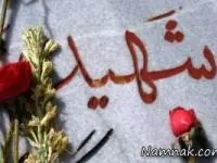 زنده شدن شهید