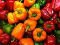 کاروتنوئیدها