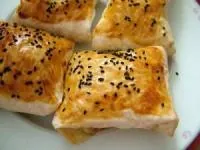 بورک مرغ