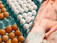 مرغ و تخم مرغ