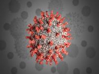 کرونای تیغی