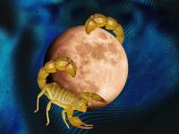 قمر در عقرب