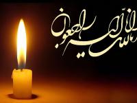 محمدعلی دشتی