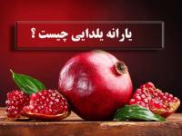 یارانه یلدایی
