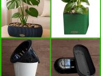 معرفی جدیدترین مدل های گلدان‌ برای گیاهان