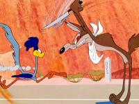 کوکوی دونده