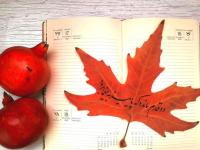 دو قدم مانده که پاییز به یغما برود