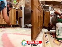 راه ‌های قطعی از بین بردن ساس، سوسک و بید؛ یک بار برای همیشه