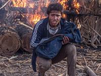 فیلم سینمایی پل