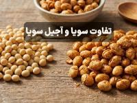 تفاوت سویا و آجیل سویا