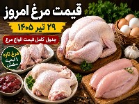قیمت مرغ