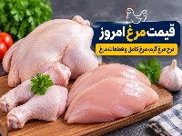 قیمت مرغ