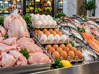 مرغ و تخم مرغ و ماهی