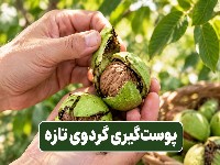 پوست گردو