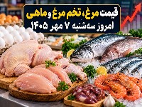 قیمت مرغ
