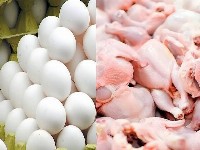 مرغ و تخم مرغ