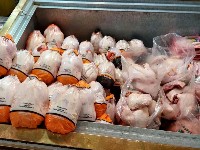 قیمت مرغ
