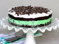 کیک بستنی شکلاتی و نعنایی