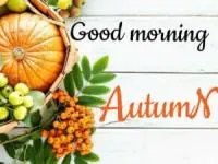 صبح بخیر به انگلیسی