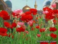 پیشگیری از بیماری
