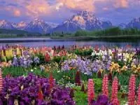 جاهای دیدنی ایران در بهار