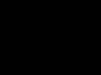 شبکه تهران