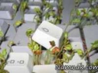 خانه تکانی رایانه ها