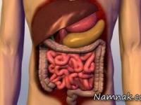  دستگاه گوارش